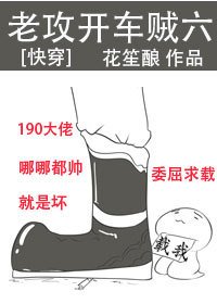 老攻開車賊六[快穿]